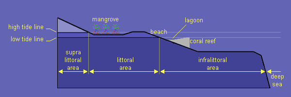 vertical distribution