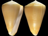 Variation210805