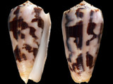 Variation210829