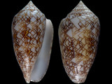 Variation111718