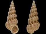 Variation113003