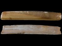 Variation216161