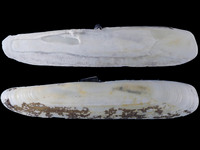 Variation220020