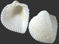 Variation420912