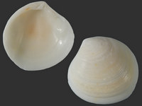 Variation221233