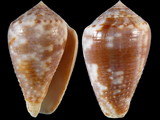 Variation34796