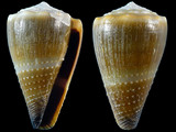 Variation25867