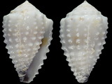 Variation26702