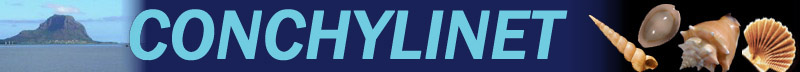 CONCHYLINET