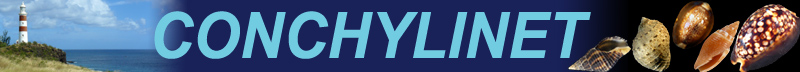 CONCHYLINET