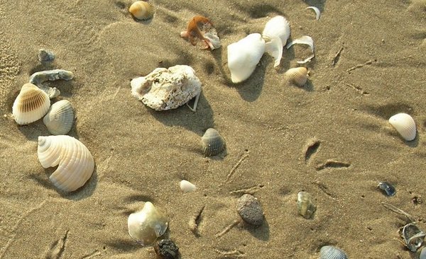 beach walking