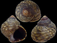 16180